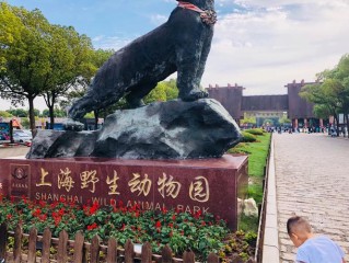 上海野生动物园攻略指南（游览上海野生动物园的攻略和建议） ！