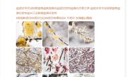整个武汉冻成了个“冰糖葫芦” 雷军晒图：作为湖北人 我也是第一次听说冻雨 !