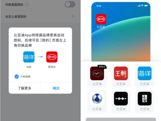 终于来了！比亚迪APP可换图标 6大品牌标识随便挑 ！