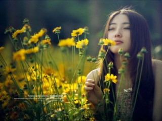 若见高手法，撞倚先拔根代表指一准确生肖，释义最佳成语解释