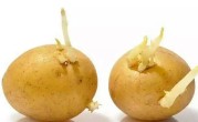 土豆发芽了把芽削掉能吃吗（土豆发芽去掉芽眼后还能食用吗）