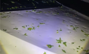 北京突降冰雹多车被砸坏！律师：冰雹砸车后建议别挪车 !