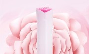 售价近3万！董明珠再回应玫瑰空调被吐槽：没有第二家做出来 这是一种创造 ！