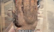 造型逼真到像真的！老人挖到酷似人手山药 出价8000元都不卖 ！
