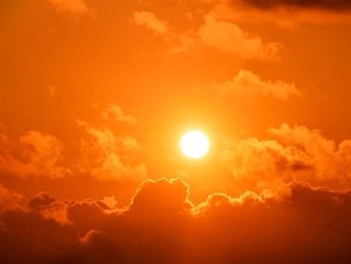 不装了！美国宣布终止近80亿美元新能源项目：直言是绿色新骗局 !