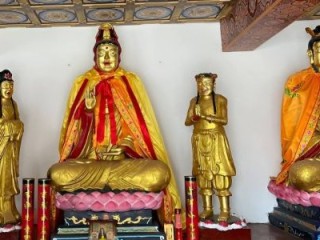 指鹿为马是代表什么最佳生肖，指鹿为马打一生肖准确正确精准释义词语解释