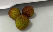 广东300吨冻眠10个月荔枝解冻上市：味道依然鲜美 ！
