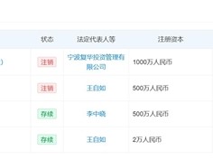 王自如回应为何欠债一个亿：不是赔掉的 是回购了投资人股份才负债的 ！