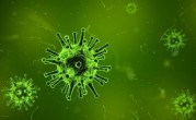 新研究：新冠病毒感染与认知功能下降存在相关性 ！
