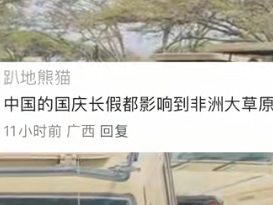 中国人国庆放假 东非大草原都堵车了 网友：聚是一栋楼 散是满地球 ！