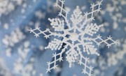 大暴雪来了！第一波暴雪将袭山河四省：天降鹅毛 ！