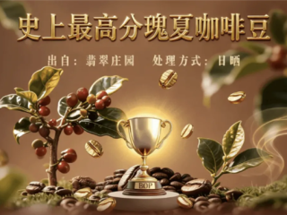 每杯成本就5000元 全球最贵之一咖啡豆运抵国内 几乎免费送 !