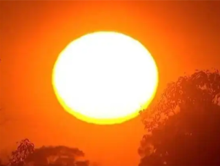 悉尼遭遇史诗级高温：飙至43.5摄氏度 病人迅速增多 ！