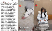 500万粉丝博主虚假摆拍被抓：造谣抓蜈蚣致失明 ！