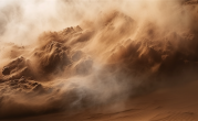 54岁夫妻柳被吹断：树倒了 还活着 !