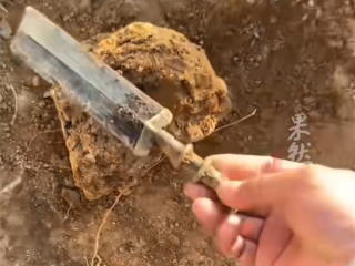 男子挖出战国青铜剑文物 上交博物馆后获奖200元 ！