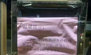 福建一动物园蟒蛇出逃近20天被找到：就在一公里外 !