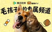 腾讯视频宠物TV上线：专给猫、狗看 缓解孤独拆家 ！