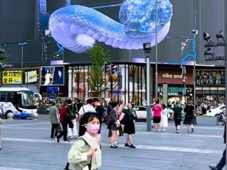成都春熙路巨型3D蛇太逼真引争议：有网友不敢靠近 ！