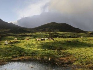 二三姐妹来相救，一杆到底合为旺，巨龙掘起三一九，动富济贫万众钦打一准确生肖，是什么生肖词语解释