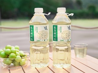 东方树叶出1.5L装 饮料为啥越卖越大：原因揭开 ！