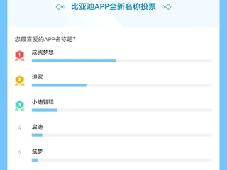 比亚迪APP全新名称投票结束！“成就梦想”当选第一 !