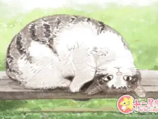 风波亭里满江红，二五相加一七开打一个最佳最佳生肖，准确释义词语解释