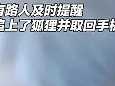 情侣拍照时偶遇狐狸笑称：别把手机叼走了 话音刚落：手机真被叼走 ！