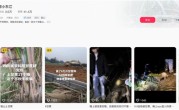 “偷甘蔗”农场有人只“偷”不给钱：老板无奈只能收取门票费 ！