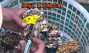 男子出海打捞上来的生蚝带商品标签 ！网友：别人放生的！