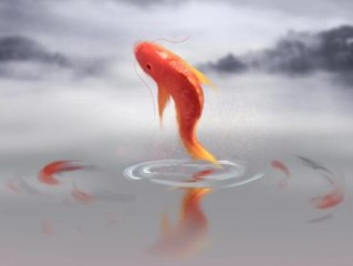 词语甄选：三二四四是何肖，下手要快跑在前是指打什么生肖，成语阐述梳理解析