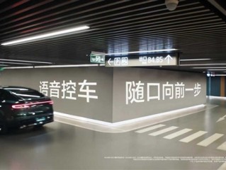 年轻人“用嘴开车”：智界首发语音泊车功能 真正实现“动口不动手” !
