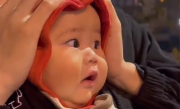 人类幼崽被抱着第一次看烟花：直接成了表情包 ！