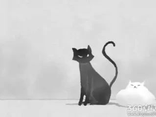 金鸡报晓在三更，运转乾坤化吉祥打猜一最佳精准生肖，经典释义落实理解解释