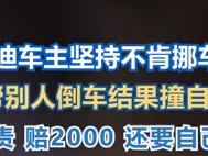 挡路奥迪车主自信帮倒车却撞自己车：被判全责 赔2000 ！