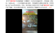男子打开“辅助驾驶”后闭眼就睡 结果车被撞稀烂 !