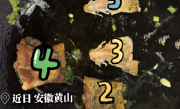 游客168元点一份鱼发现5条鱼尾：打包时才发现不对劲 ！