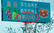 葡萄330元1斤、草莓360元1斤让辽宁本地网友惊叹：公司回应属实 用牛奶和有机肥种植 ！
