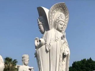 狗头军师巧计谋，可降三低觉得好打一最佳准确生肖，释义成语答解解释答解！