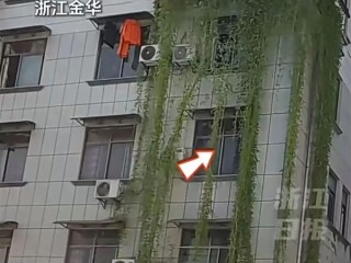 浙江一居民楼出现空心菜“瀑布” 从5楼挂到1楼 !