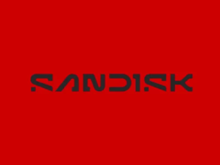 闪迪发布PCIe 4.0旗舰SSD SN5100S：7300MB/s读取、可选双M.2规格 !