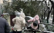 冻雨也挡不住打工人 湖北人上班堪比丛林探险 ！