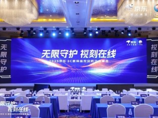 小米、海康、大华等发起倡议：摄像头“真像素 不虚标” !
