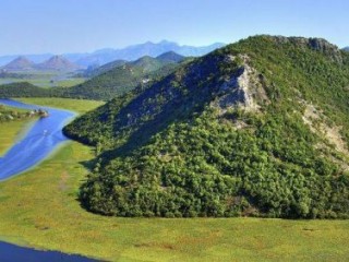 深山老林喻指一最佳最佳生肖,独家释义词语解释! 