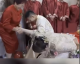 丈母娘祝新人生日快乐引全场爆笑：真是有意思的小插曲 ！