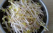 自己在家怎么发绿豆芽呢（绿豆芽的制作方法和技巧） ！