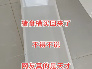女子花几十块买猪食槽收纳孩子玩具:不照常理出牌更好用!