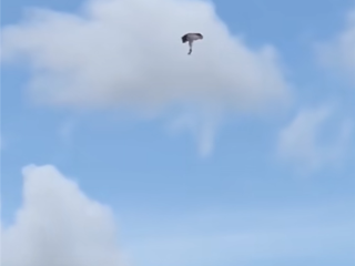 千米高空伞绳缠身！600万粉网红跳伞遇死亡旋转 奇迹生还 ！