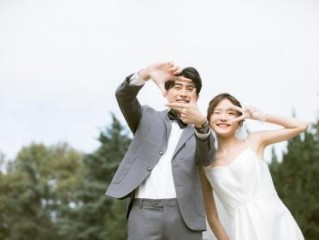 断决如流打指代表是一生肖，甄选赏析词语阐述优解