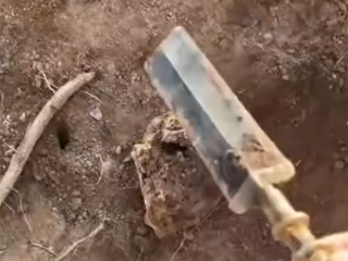 挖到青铜剑上交获奖200元 博物馆回应：仅表彰性奖励 非文物本身价值 ！